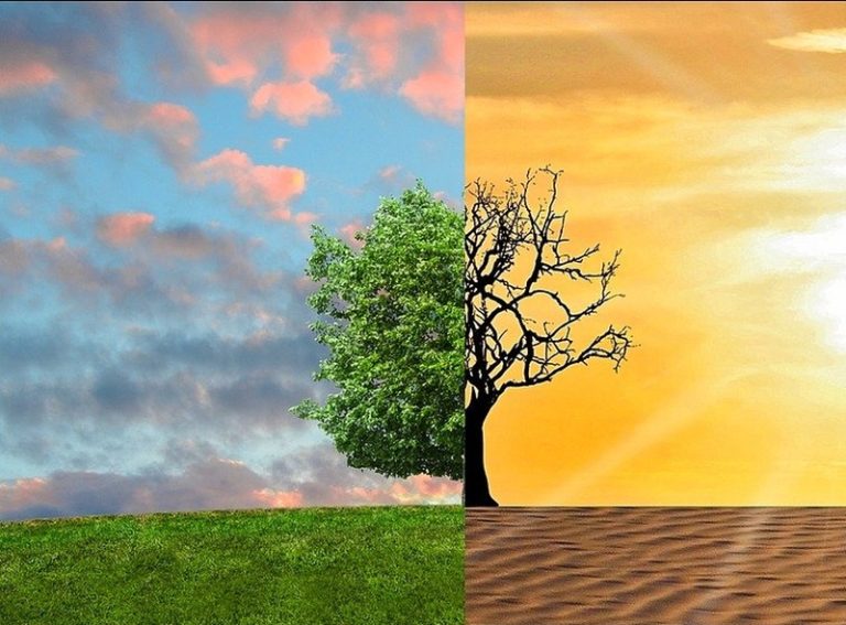 Δυστυχήματα, κενές θέσεις και χρέη καταστρέφουν τον αγροτικό τομέα